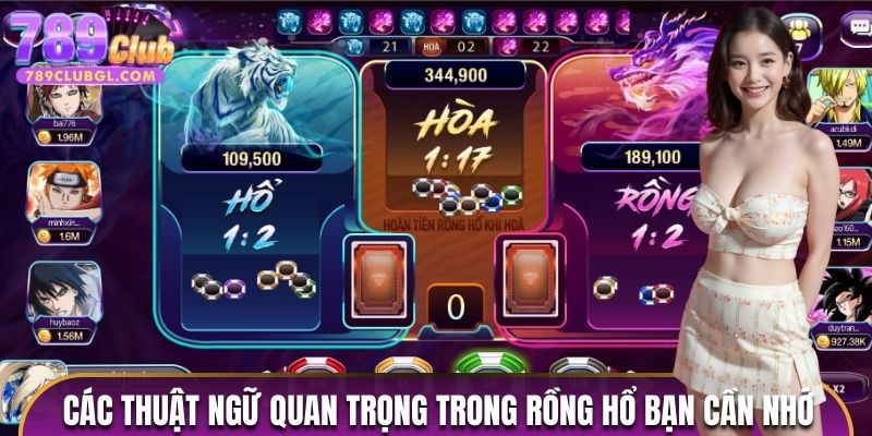 Các thuật ngữ quan trọng trong Rồng Hổ 